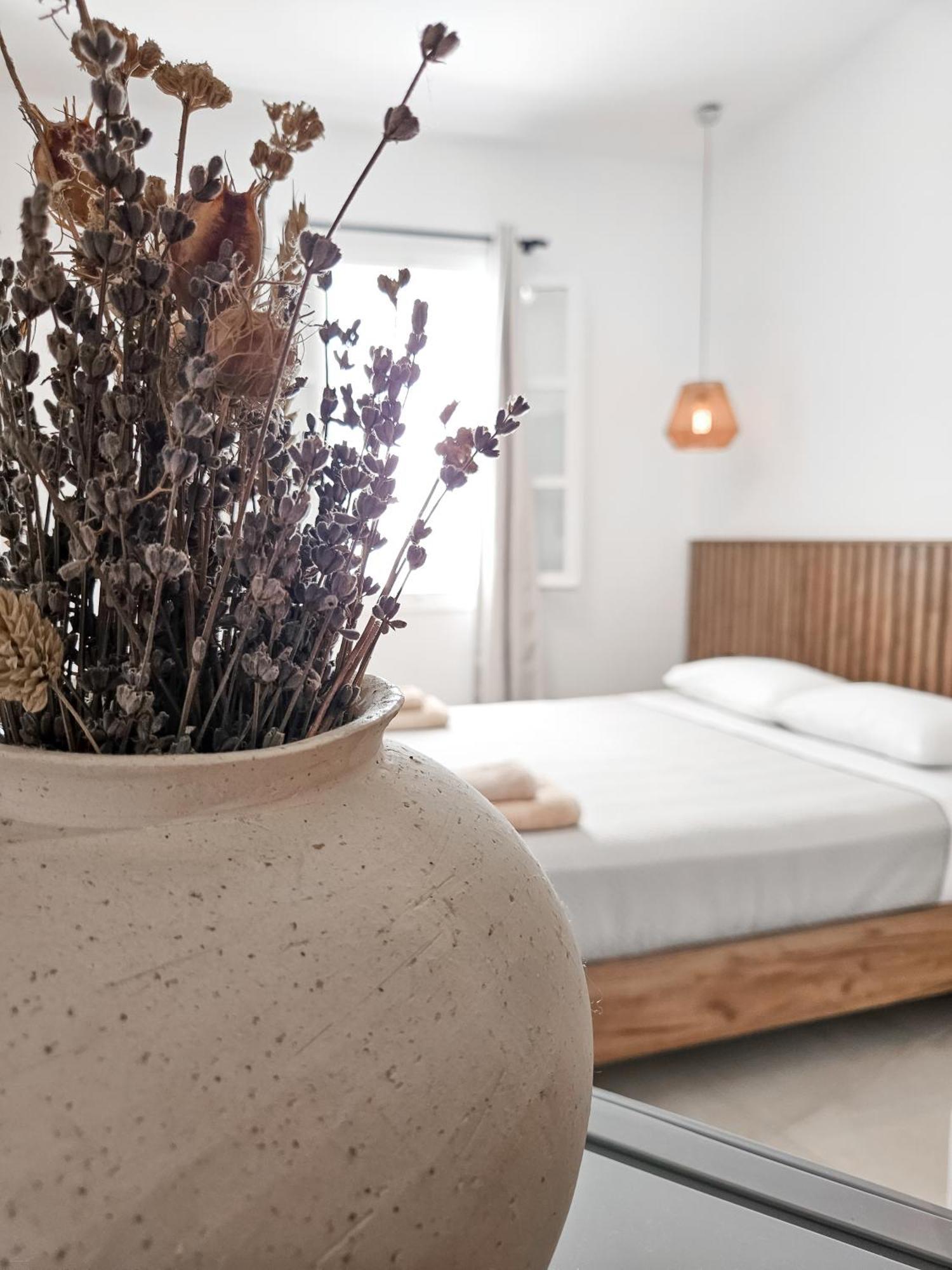 Oikia Suites Mykonos Mykonos Town Exterior foto